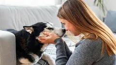 How to Talk to Your Dog So They Really Understand You