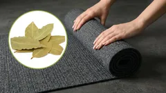 Put a bay leaf under the carpet, and overnight you’ll get rid of a problem that bothers everyone