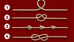 Psychology Test: Which Rope Is Longer, and What Does Your Choice Say About How You Think?