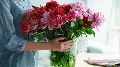 How to Keep a Bouquet Fresh Longer at Home: 5 Effective Tips
