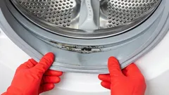 Why Mold Appears on Your Washing Machine Door Seal—and How to Prevent It